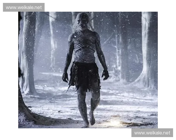 《风暴英雄守望者的崛起与荣耀战役探索》